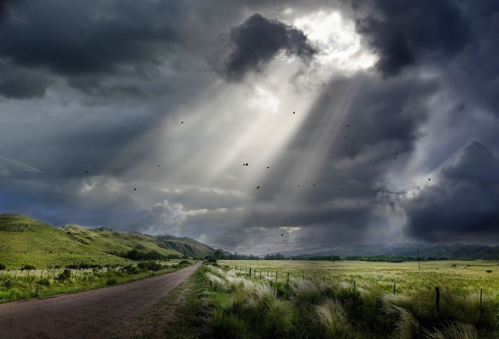Sunbeams pierce stormy clouds over a rural landscape with birds
