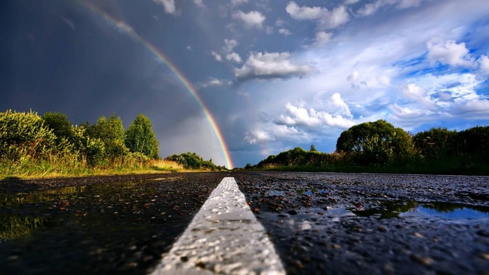 Rainbow over a wet road with trees