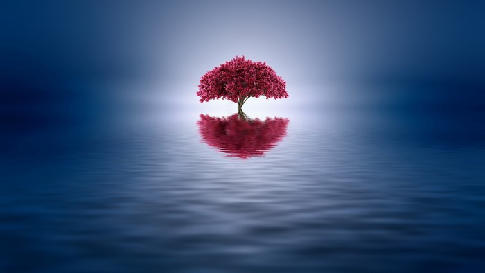 Minimalist tree with red leaves reflected in water