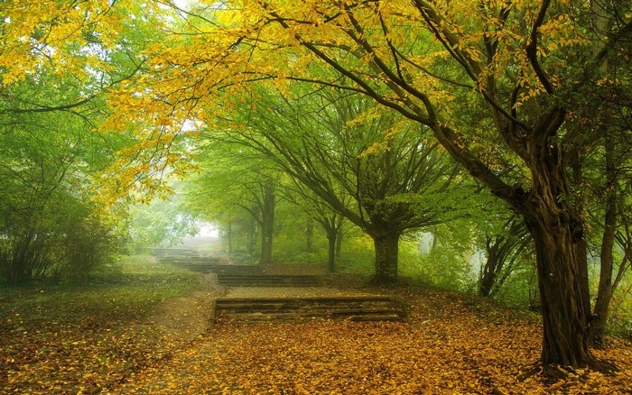 Autumn park with stairs and fallen leaves