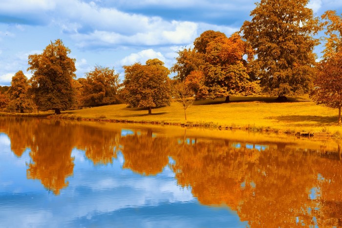 Colorful Autumn Trees Reflecting on a Calm Lake