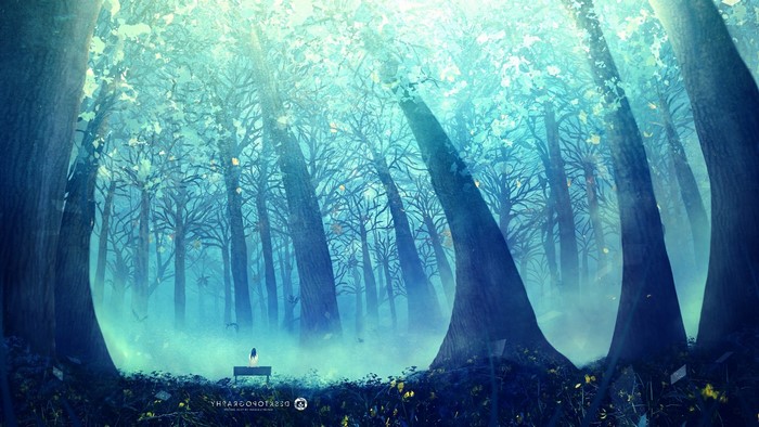 Fantasy forest with mist and a bench