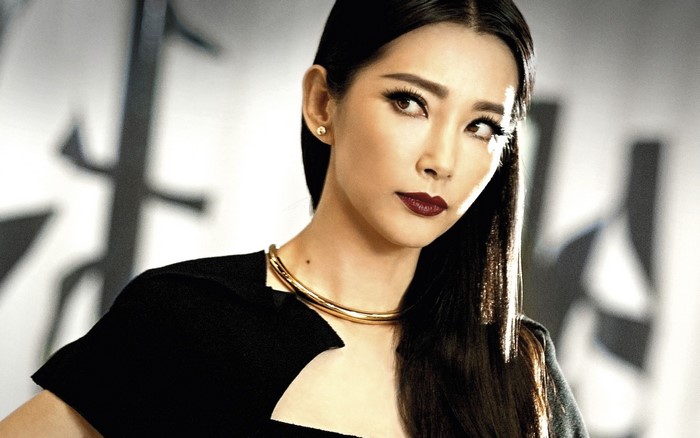 Li Bingbing from Transformers: Age of Extinction