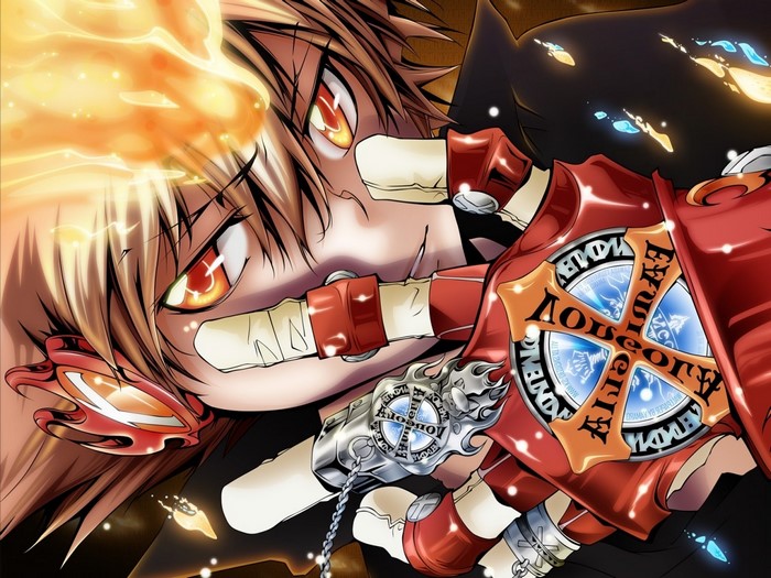 Sawada Tsunayoshi from Katekyo Hitman Reborn with fire gloves