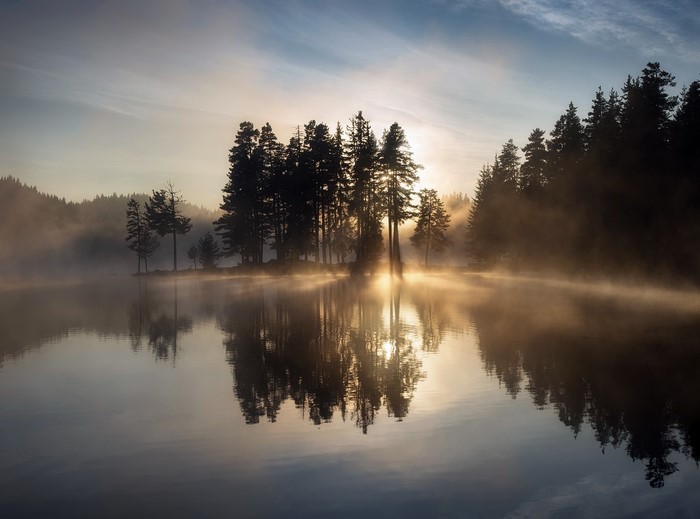 Misty lake with sunlit trees and reflections