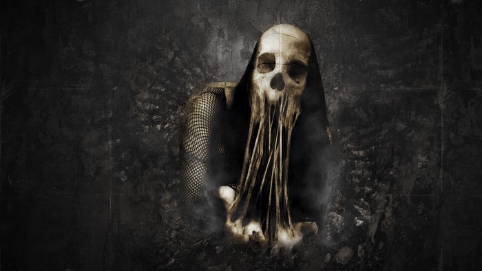 Grim Reaper Skull with Black Hood and Fishnet