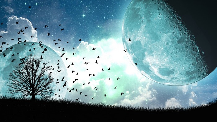Two moons, flock of birds, and a tree at night