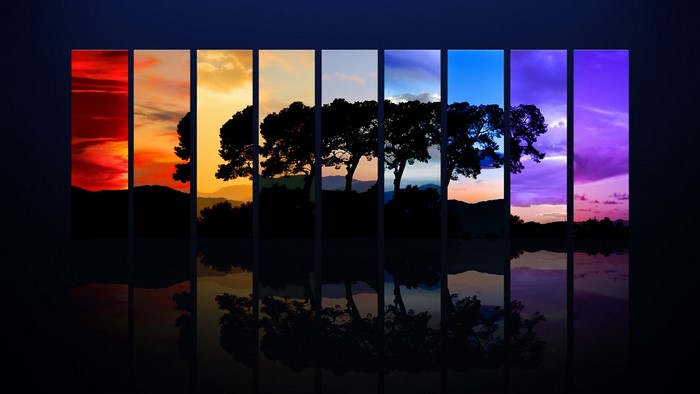 Colorful sunset panels with trees and reflection
