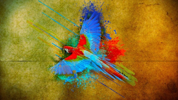 Colorful parrot in flight with paint splatters