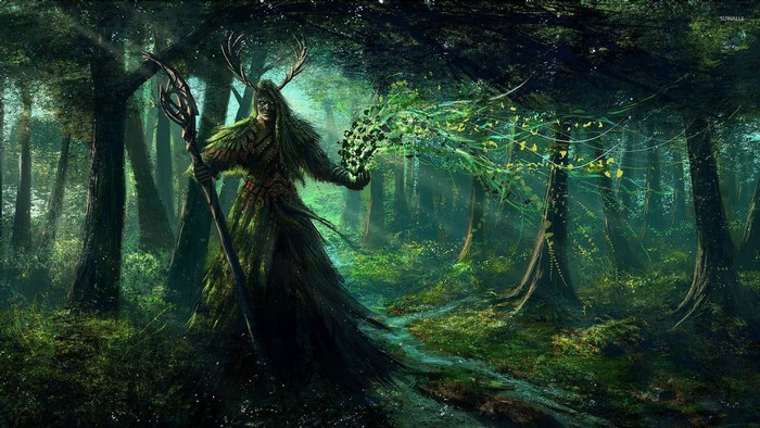 Fantasy art of a druid in a forest