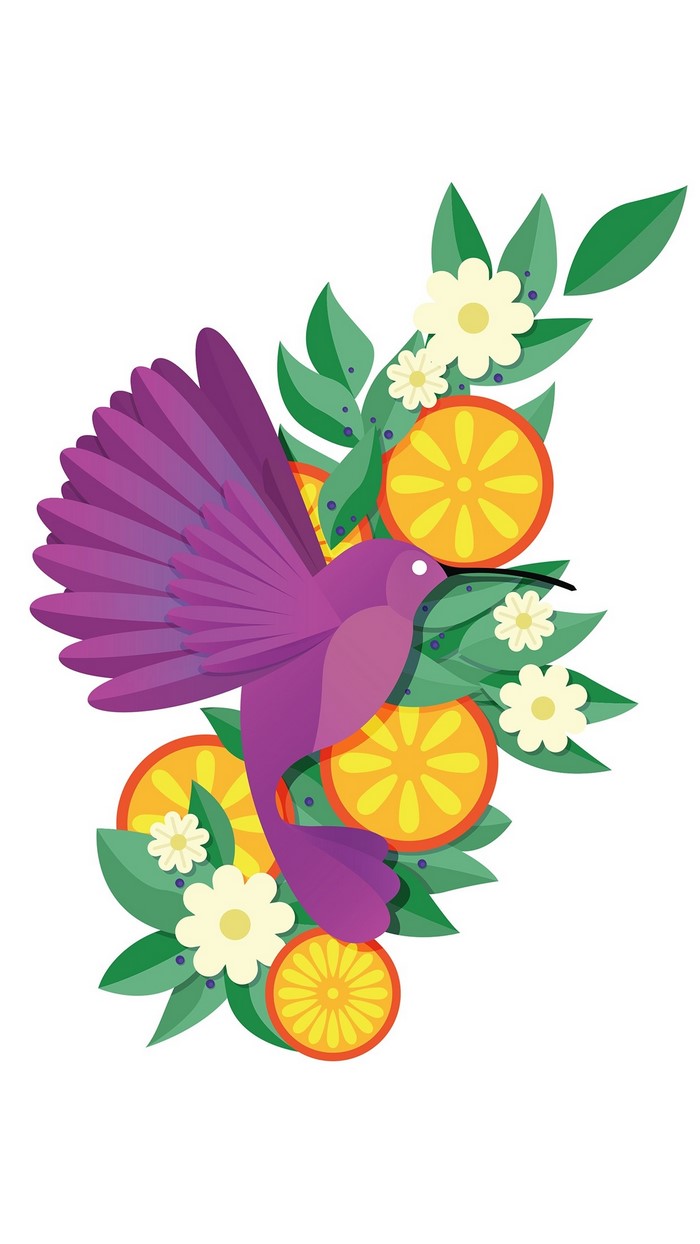 Purple hummingbird with oranges and flowers