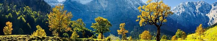 Autumn trees in front of snow-capped mountains in Austria