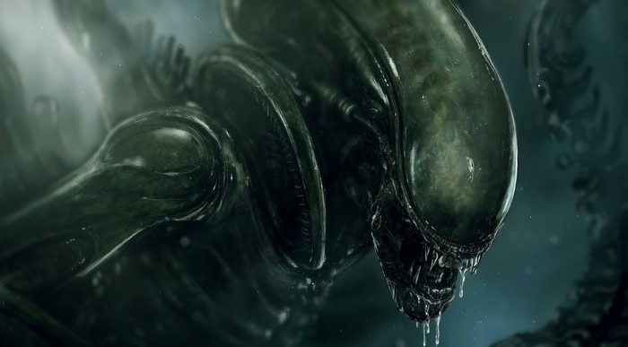 Xenomorph creature artwork