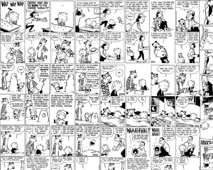 Calvin and Hobbes comic strip about a raccoon