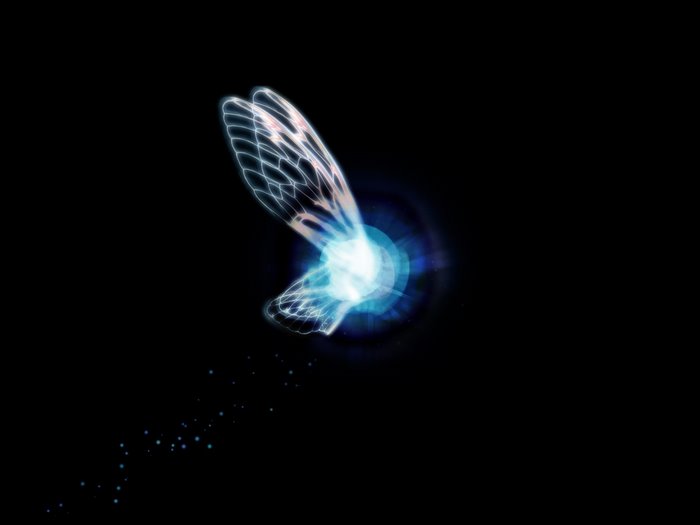 Navi from The Legend of Zelda