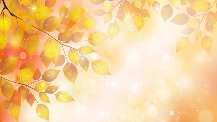 Autumn leaves on branches with bokeh effect