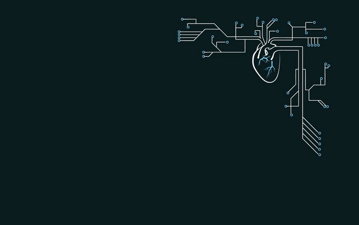 Digital heart with circuit board connections