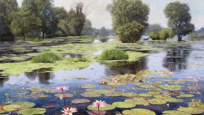 Zbigniew Kopania pond with water lilies and trees