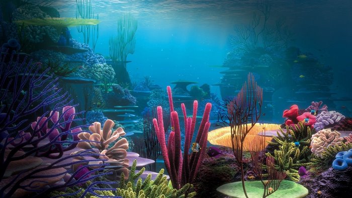 Underwater coral reef with colorful marine life