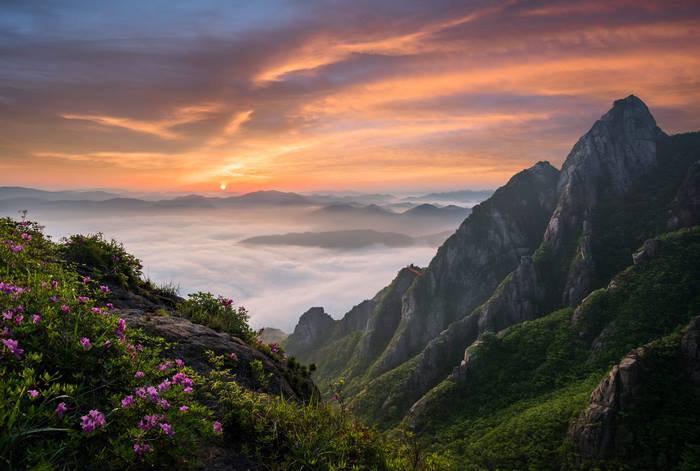 Sunrise over mountains in South Korea with pink flowers