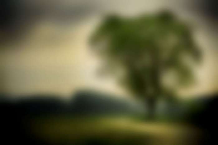 Blurred tree in a landscape 4K