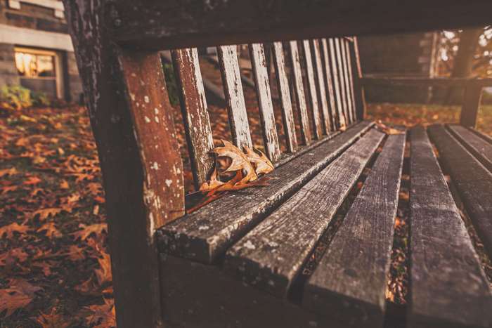 Autumn bench with fallen leaves