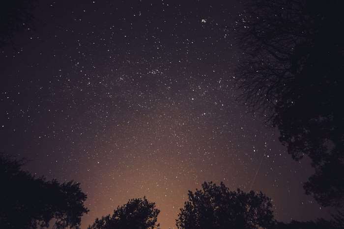 Night sky full of stars above trees