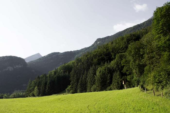 Green mountain landscape with trees and sky 4K