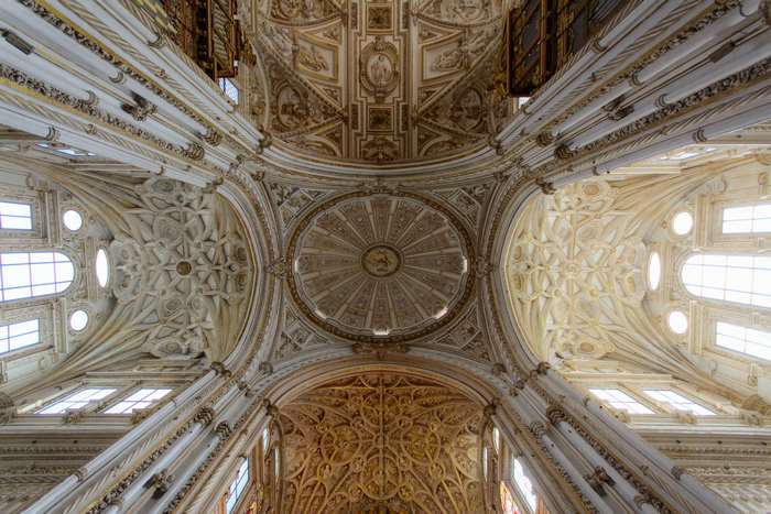 Ornate Cathedral Ceiling with Arches and Dome