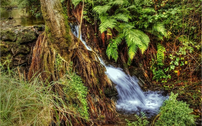 Waterfall cascading over mossy rocks and tree roots