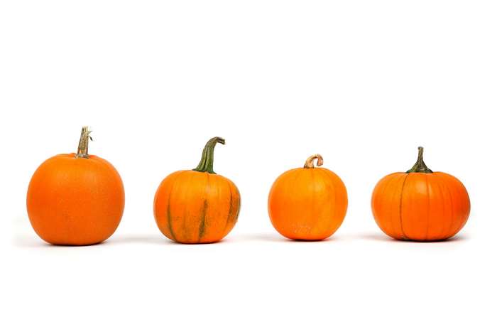 Four orange pumpkins in a row