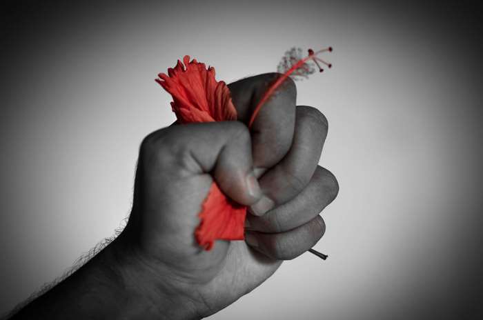 Hand crushing red flower 4K