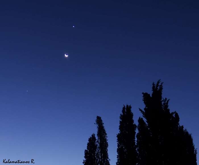 Crescent moon and planets in the night sky with trees