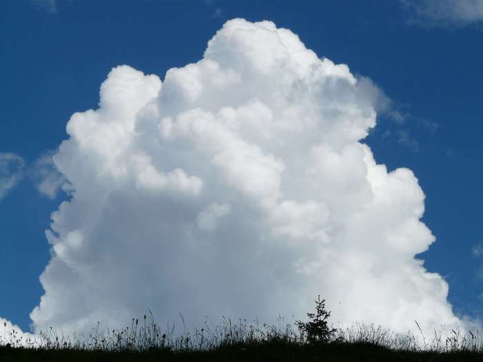 Large cumulus cloud over grassy field with small tree