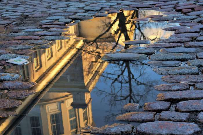 Reflection of building and tree in puddle on cobblestone street