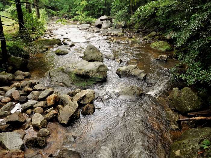 Mountain stream flowing over rocks in a forest