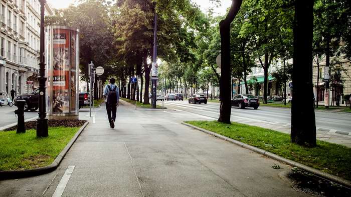 Man Walking on Tree-Lined Street in Vienna 4K