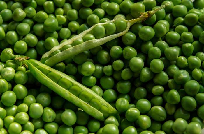 Fresh green peas in pods