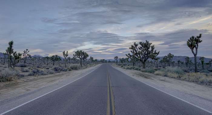 Desert highway with Joshua trees and mountains