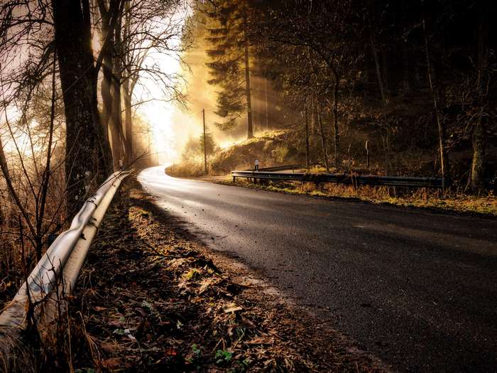 Curving road through a foggy forest at sunrise