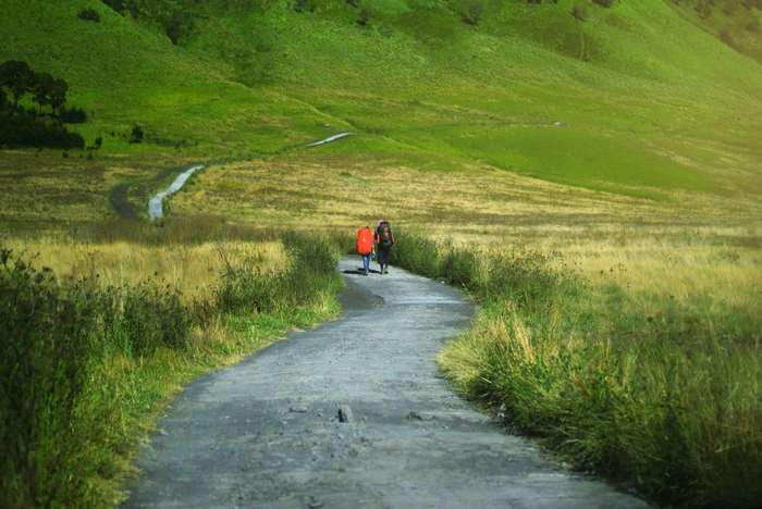 Two hikers with backpacks walk on a path through a grassy field.