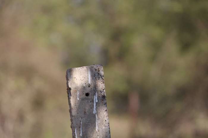 Concrete post with white streaks