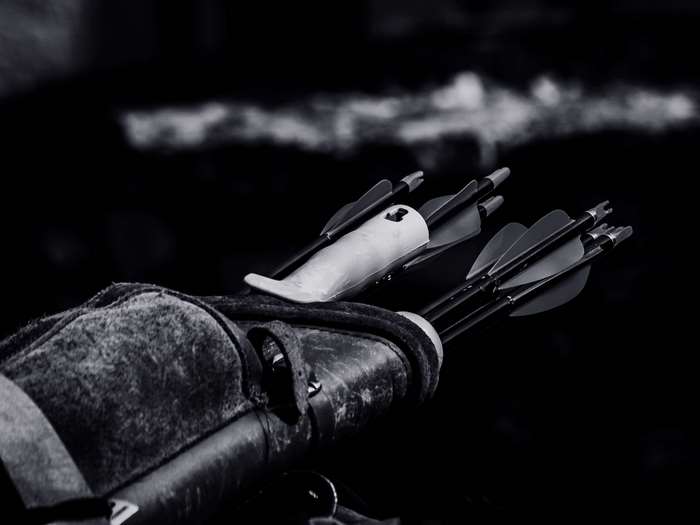 Close up of arrows in a quiver