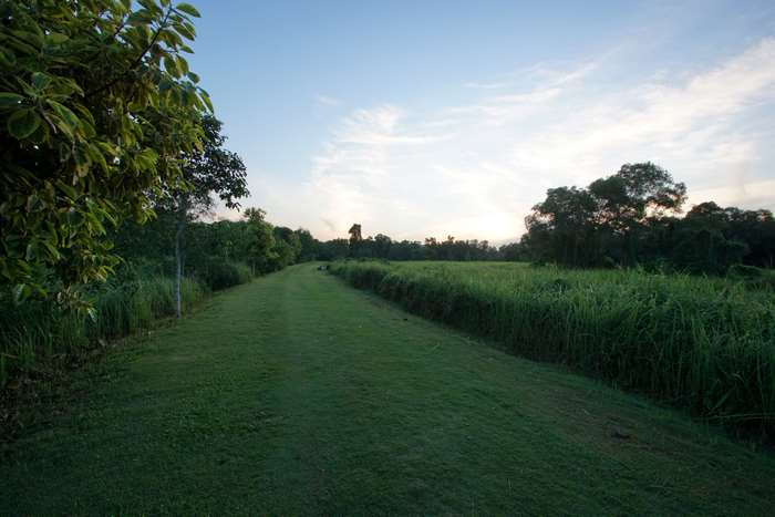 Tampines Eco Park 4K landscape with blue sky