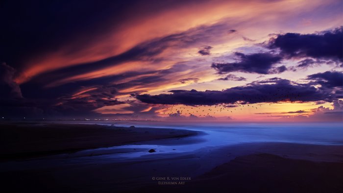Sunset over the ocean with birds flying