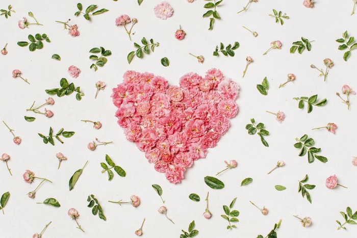 Pink flowers arranged in a heart shape