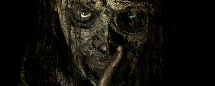 Whisperer from The Walking Dead
