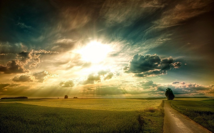 Sunbeams over a field with a dirt road