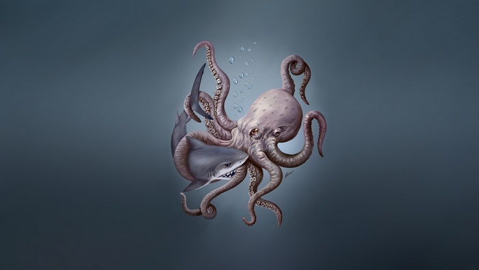 Octopus attacking a shark