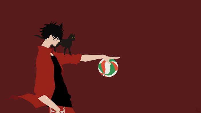 Tetsurō Kuroo from Haikyuu!! with a cat and volleyball